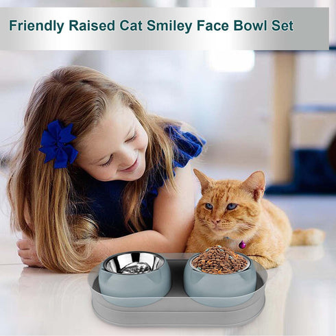 Elevated Cat Food Bowls - Raised Stainless Steel Bowls with Stand, Anti Vomiting, Double Bowl Set (Grayblue)