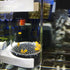 WEAVERBIRD Fish Hatchery Incubator, 50mm Tumbler for Cichlids Fish Egg Breeding in Aquarium