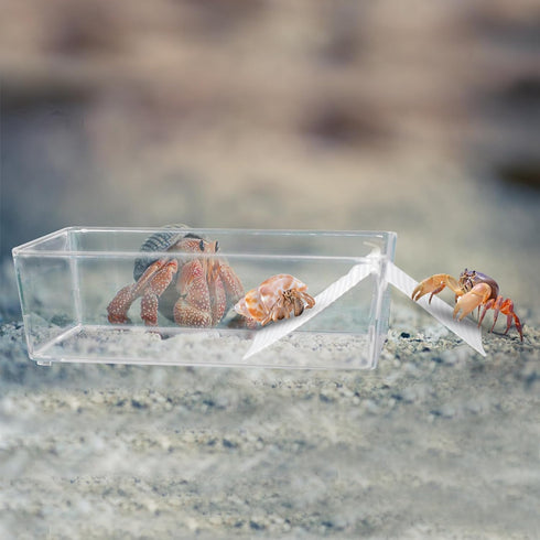 2 Pack Large Transparent Hermit Crab Water Tank with Climbing Ramp for Small to Large Hermit Crab Habitat