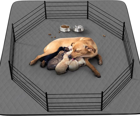 Washable Reusable Dog Pee Pads, 34"x52" (2 Pack) Absorbent & Waterproof Puppy