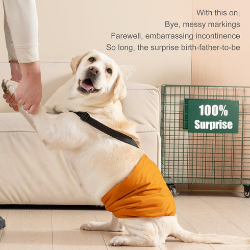 3 Pack Avont Male Dog Belly Band with Suspenders, Reusable Boy Doggie Diaper with Harness, Escape Proof, Non-Slip