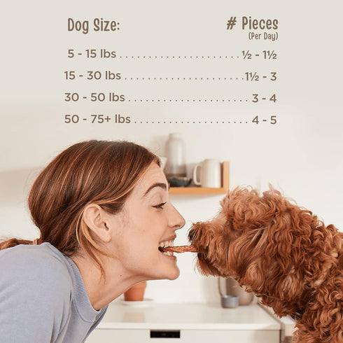 22 1.375 (Pack 1) Full Moon All Natural Human Grade Dog Treats, Essential Beef Savory Sticks, Ounce, Pound