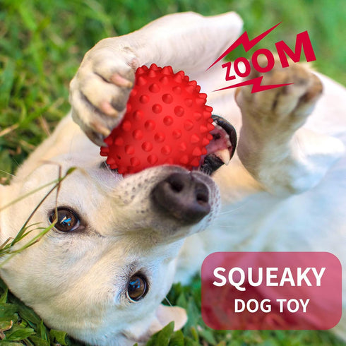 Apasiri Dog Balls Squeaky Dog Toys for Large Dogs, Dog Toys for Aggressive Chewers, Tough Spiky Dog Ball, Dog Ball, Floatable Rubber Pet Toys for Medium Breed Pack of 2