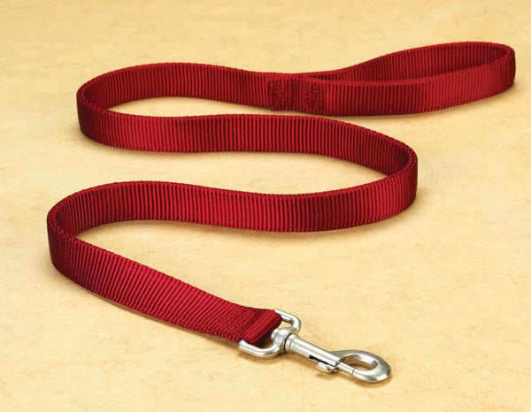 Hamilton Double Thick Nylon Dog Training Lead - 1-Inch by 6-Feet in Red