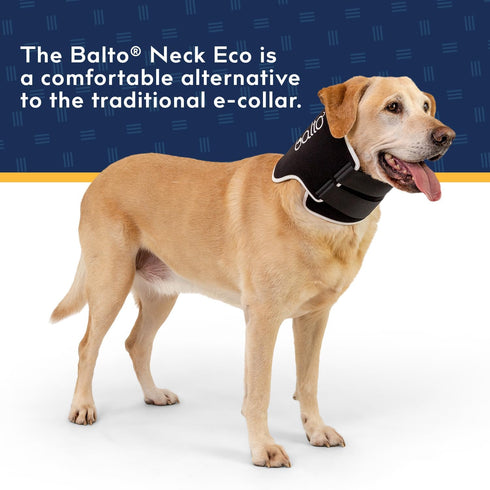 Balto Neck Eco E-Collar Alternative – Padded Dog Cone for Recovery, Protects Wounds and Rashes (Extra Small)