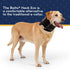 Balto Neck Eco E-Collar Alternative – Padded Dog Cone for Recovery, Protects Wounds and Rashes (Extra Small)