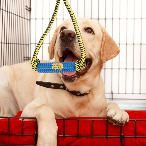 ChengFu Interactive Dog Toys: Crate Training Aids, Puppy Teething Toys, Peanut Butter Treat Dispenser