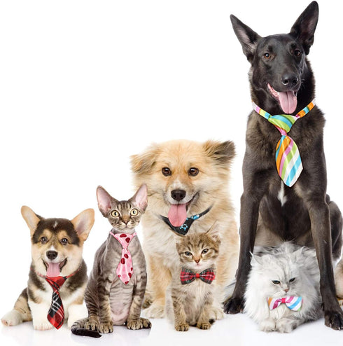 Frienda 20 Pieces Assorted Dog Ties, Small Pet Bow Ties with Adjustable Collar for Grooming Accessories
