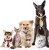 Frienda 20 Pieces Assorted Dog Ties, Small Pet Bow Ties with Adjustable Collar for Grooming Accessories