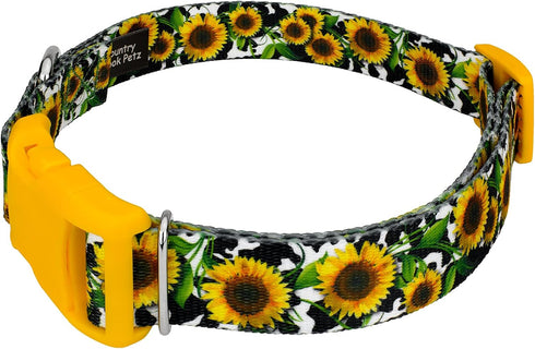 Country Country (1 Inch, Brook Petz - Dairy Fields Everyday Dog Collar and Leash - and Western Collection Featuring