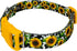 Country Country (1 Inch, Brook Petz - Dairy Fields Everyday Dog Collar and Leash - and Western Collection Featuring