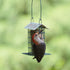 Wild Wings Decorative Metal Suet Cage Feeder for Outdoor Wild Bird Feeders, Black
