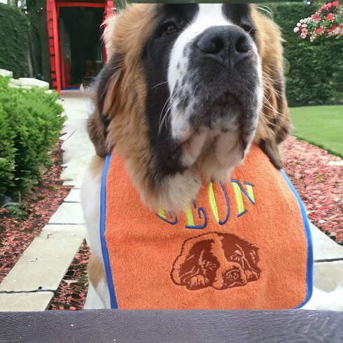 Custom Made Bib Embroidered with Dog's Name and St Bernard Dog Face - Fully Adjustable and Comfortable Washable Pet