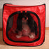 Portable Pop Up Dog Crate - Medium Size