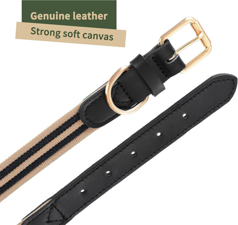 Mile High Life Genuine Leather Dog Collar, Heavy Duty Canvas with Adjustable Rust-Proof Metal Pin Buckle for Large Dogs