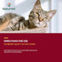 NaturVet Cranberry Relief Plus Echinacea for Cats - 60 ct Soft Chews, Made in The USA