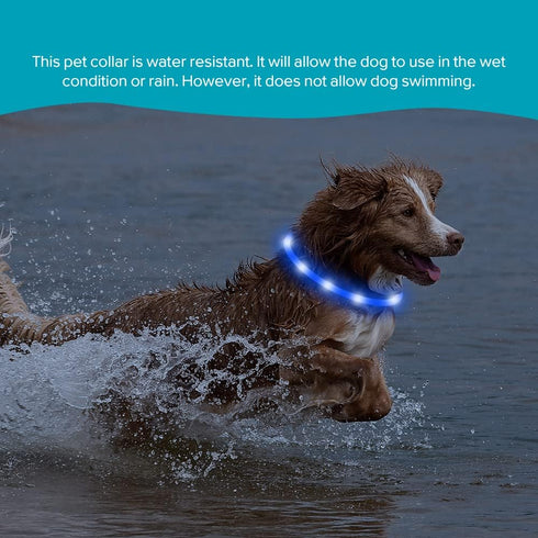 Illumifun LED Dog Necklace Light, USB Rechargeable Light Up Dog Collar, Flash LED Collar for Camping (Blue-Silicone)
