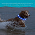 Illumifun LED Dog Necklace Light, USB Rechargeable Light Up Dog Collar, Flash LED Collar for Camping (Blue-Silicone)
