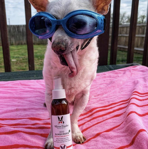 2-Pack (2 4 oz) 18% Warren London Dog Sunscreen Spray UV Shield with Aloe | Quick-Dry, Non-Greasy, Sunblock for Nose