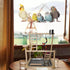 Parrots Playground, Bird Play Gym Wood Perch Stand Colours Revolving Climb Ladders Swing Chewing Toys with Parakeet
