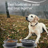 IFOYO Collapsible Dog Bowls, 2 in 1 Upgrade Foldable Travel Pet Food Bowl with Non-Skid Silicone Mat (Gray)