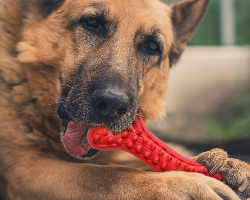 German Shepherd Dog Chew Toys - Indestructible Beef Flavored Durable Rubber Bone Toy for Large/Medium Dogs