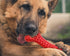 German Shepherd Dog Chew Toys - Indestructible Beef Flavored Durable Rubber Bone Toy for Large/Medium Dogs