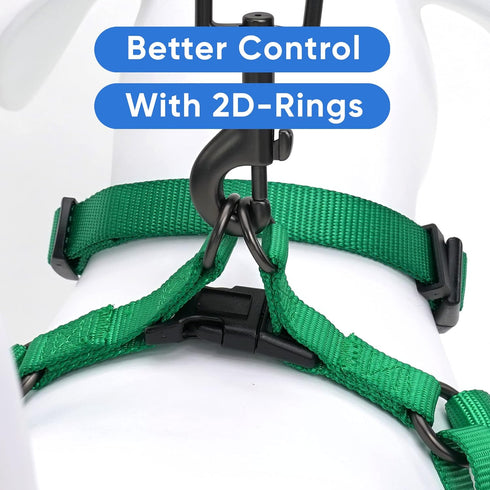 Pawtitas Solid Color Step-in Dog Harness for Training and Walking Extra Small Dogs, Lush Green