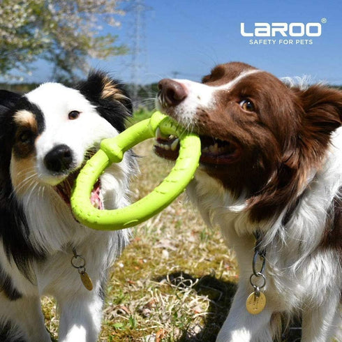 LaRoo Dog Toys for Aggressive Chewers, Floatable Dog Flying Disc, 3 Sizes Dog Tug Toy, Interactive Dog Toys