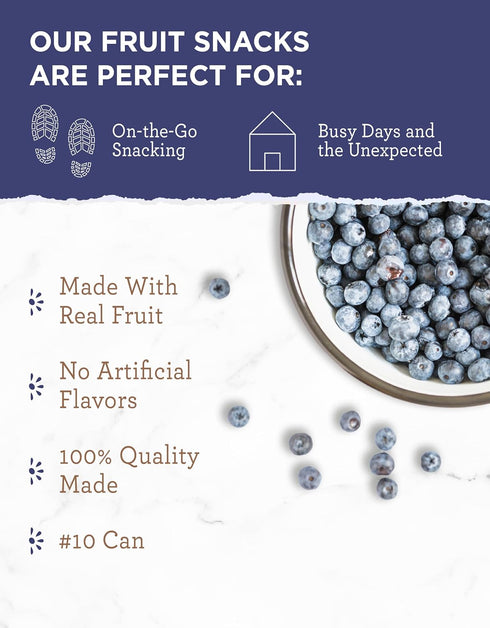 28 READYWISE - Simple Kitchen Freeze Dried Whole Blueberries, Servings, Vegan, Gluten Free, Fruit Snacks, Emergency