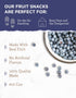 28 READYWISE - Simple Kitchen Freeze Dried Whole Blueberries, Servings, Vegan, Gluten Free, Fruit Snacks, Emergency