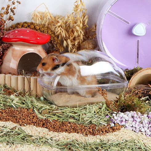 Hamster Small Animal Sand Bath Box - Bathtub with Bath Sand and Scoop Accessories for Mice Hedgehog Gerbils (Large)