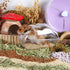 Hamster Small Animal Sand Bath Box - Bathtub with Bath Sand and Scoop Accessories for Mice Hedgehog Gerbils (Large)