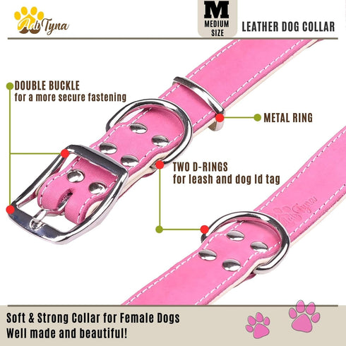 ADITYNA Heavy-Duty Pink Leather Dog Collar for Medium Dogs, Soft Lined Girl Collar for Walking, Training, Hiking