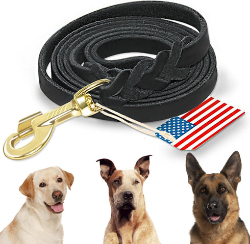 Premier 6Ft Leather Dog Training Leash, Great for Hunting Dogs or Obedience Training - Christmas Dog Gifts, Black