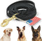 Premier 6Ft Leather Dog Training Leash, Great for Hunting Dogs or Obedience Training - Christmas Dog Gifts, Black
