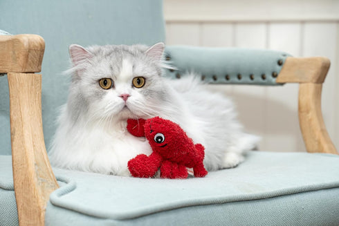 5'', Interactive Catnip Cat Plush Toy, Ocean Theme, for All Breed Size Cats (Lobster)