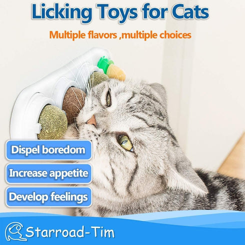 Catnip Balls Catnip Toy for Cats, Rotatable Edible Balls for Healthy Self-Adhesive Catnip