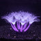 Soft Silica Gel Aquarium Decorations, Glow in The Dark Coral Ornaments for Fish Tank (Purple, Sunflower)