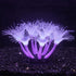 Soft Silica Gel Aquarium Decorations, Glow in The Dark Coral Ornaments for Fish Tank (Purple, Sunflower)