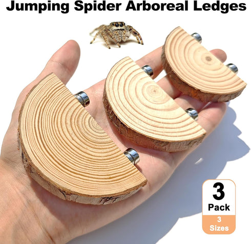 3 Pack Jumping Spider Enclosure Climbing Platforms, Magnetic Jumping Spider Wooden Ledge Ladder, Jumping Spider
