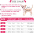 Kallfir's 4 Pieces Dog Clothes for Small Dogs, Summer Spring Shirts, Cute Soft Chihuahua Yorkie T-Shirt, X-Small