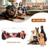 Dog Toys for Aggressive Chewers - Long-Lasting Nylon Chew Bones for Medium to Large Breeds, Teething Toys (Brown)