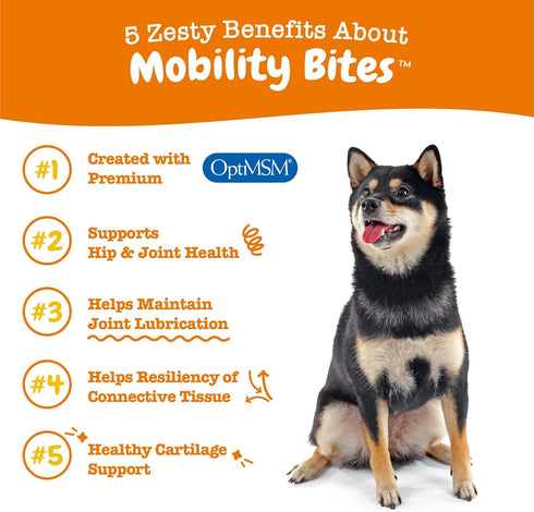 Zesty Paws Hip and Joint Supplement for Dogs - Glucosamine with Chondroitin, MSM, Vitamins C and E, Mobility Bites (50