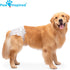 20ct Paw Inspired Disposable Dog Diapers | Female Dog Diapers Ultra Protection | Diapers for Dogs in Heat, Excitable