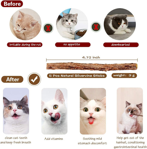 3-Pack Cat Wand Toys, 16-Inch Natural Wooden Teaser Wand with 5 Silvervine Sticks, Interactive Feather Wand for Indoor