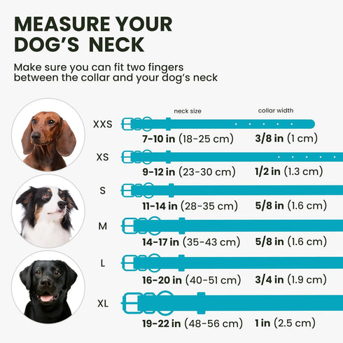 Soft Round Rolled Leather Dog Collar with ID Tag for Small Medium Large Dogs (7-10 inch, Aqua Blue)