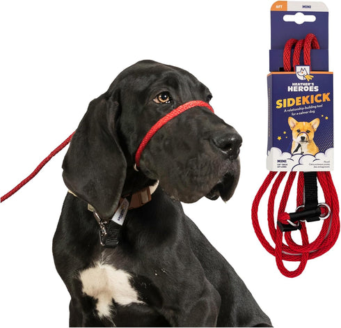 Heather's Heroes Sidekick Dog Headcollar with Leash, Effective Training Tool for Leash Reactivity, Red, Mini