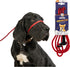 Heather's Heroes Sidekick Dog Headcollar with Leash, Effective Training Tool for Leash Reactivity, Red, Mini