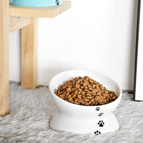 Y YHY Elevated Tilted Cat Food Bowl 6", Raised Ceramic Pet Food Water Dish 10 oz, White